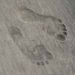 IMG_1621